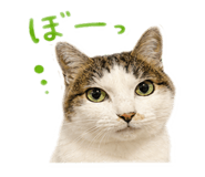 846525743
