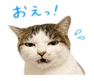 846525744
