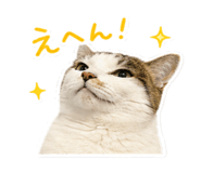 846525745