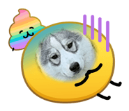 846525834