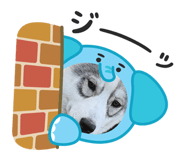 846525836