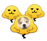 846525837