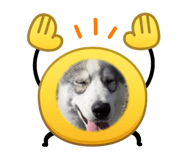 846525839