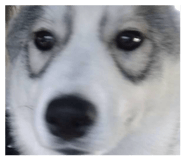 846525844
