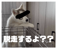 846525851