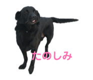 846526566