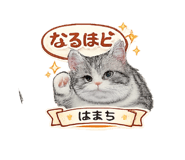 846526925