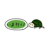 846526966