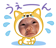 846527012