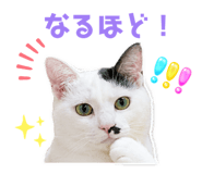 846527054