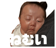 846527086