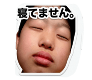 846527116
