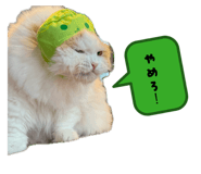 846527136