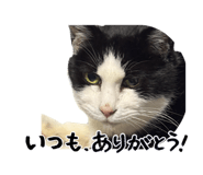 846527165