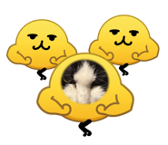 846527178
