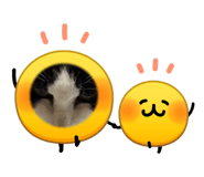 846527179