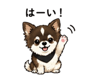 846527212