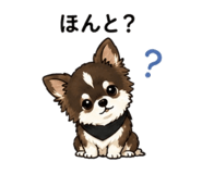 846527216