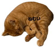 846533420