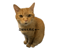 846533425
