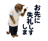 846533854