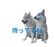 846534036