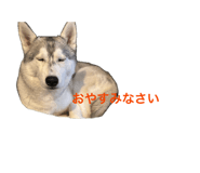 846534037