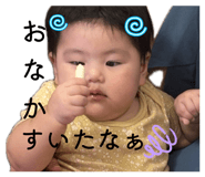 846534231