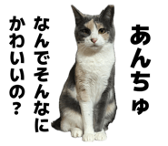 846534392