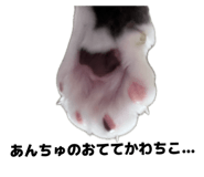846534399