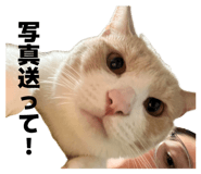 846534400