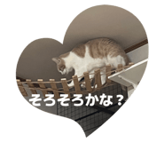 846534409