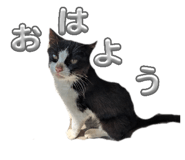 846534633