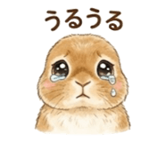 846534852