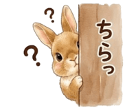 846534866