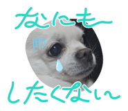846547562