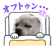 846547564