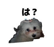 846547784