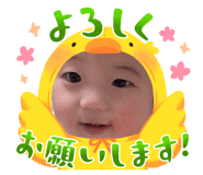 846547796