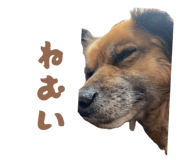 846547830