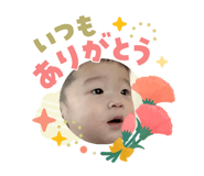 846548185