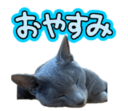846548529