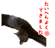 846548530
