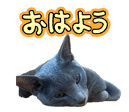 846548536
