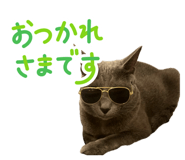846548540