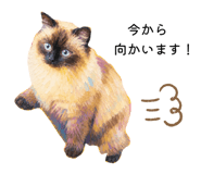 846548595
