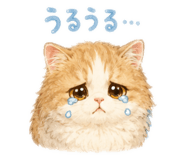 846548972
