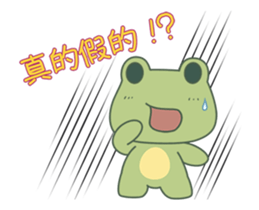 84655571
