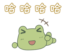 84655574