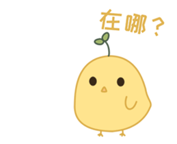 84655581